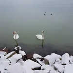 Sába-ház Vendégház
