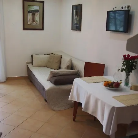 Guest house Saba-haz 2*