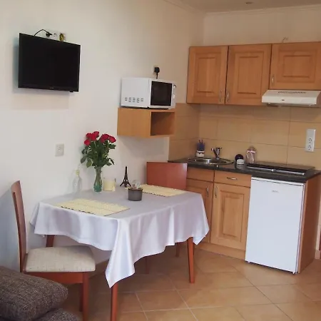 Guest house Saba-haz