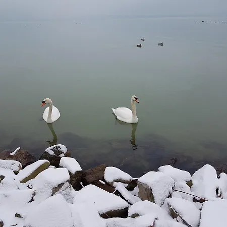 Saba-haz בית הארחה