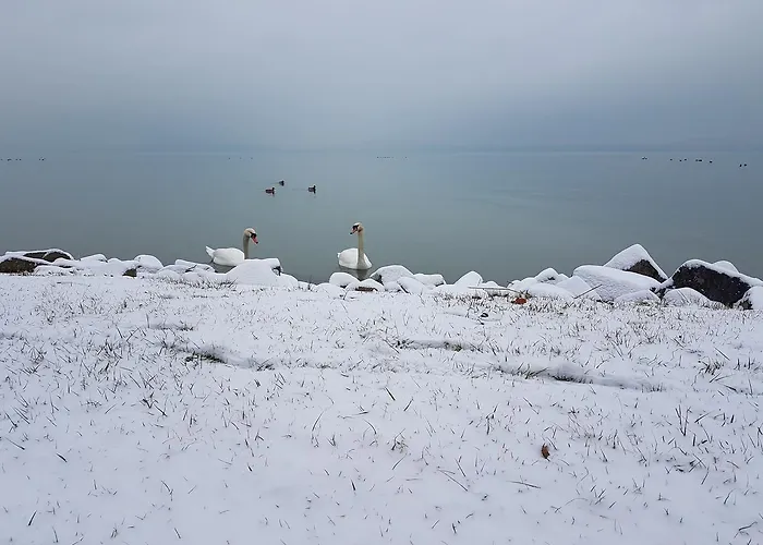 Sába-ház 3*